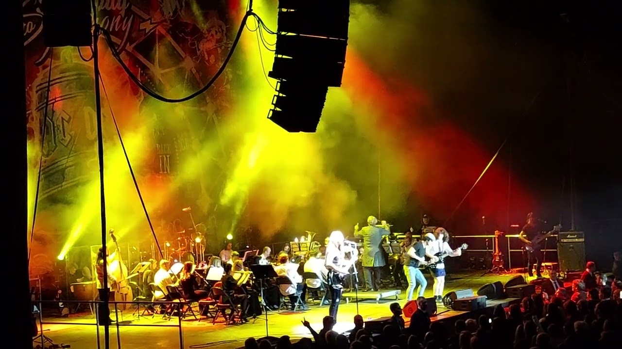 Concerts & Live Shows