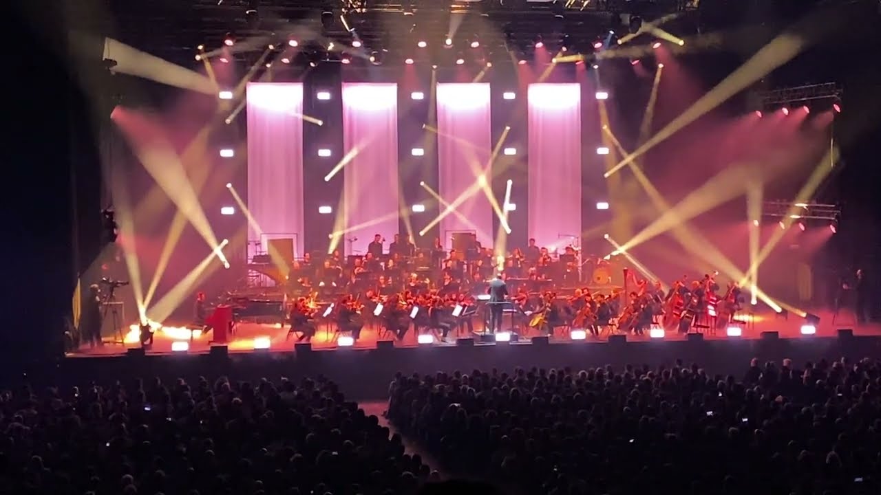 Concerts & Live Shows