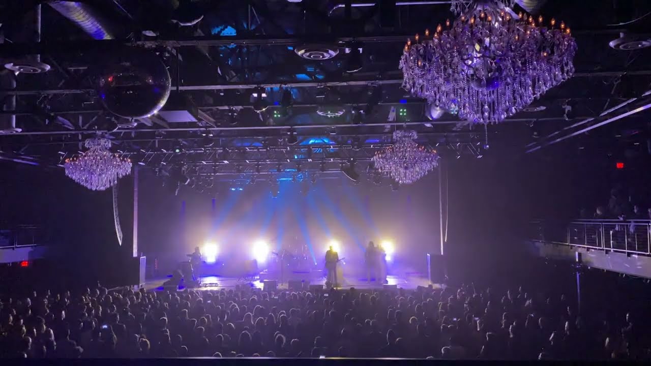 Concerts & Live Shows